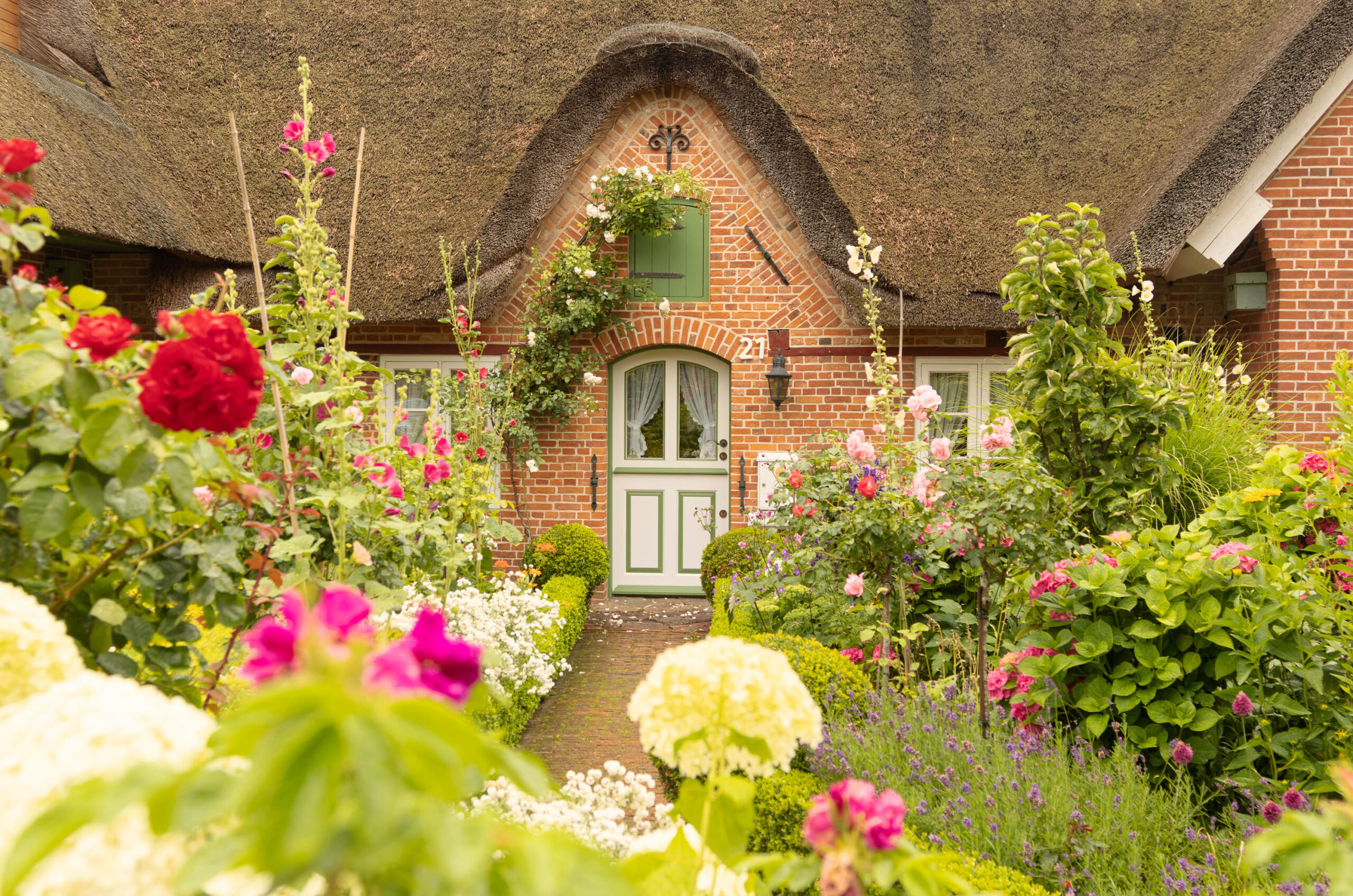 Das Bild zeigt einen charmanten, traditionellen Fachwerkkamin in St. Peter-Ording, Nordsee. Der Kamin ist aus rotem Backstein gebaut und mit einem dicken Strohdach bedeckt. Die Fassade ist mit grünen Fensterläden und einer grünen Tür versehen. Vor dem Kamin befindet sich ein üppiger Garten mit einer Vielzahl von Blumen, darunter Rosen, Hortensien und andere Wildblumen. Ein Kiesweg führt zum Eingang des Hauses. Das Bild vermittelt ein Gefühl von Ruhe, Gemütlichkeit und traditionellem norddeutschen Charme.