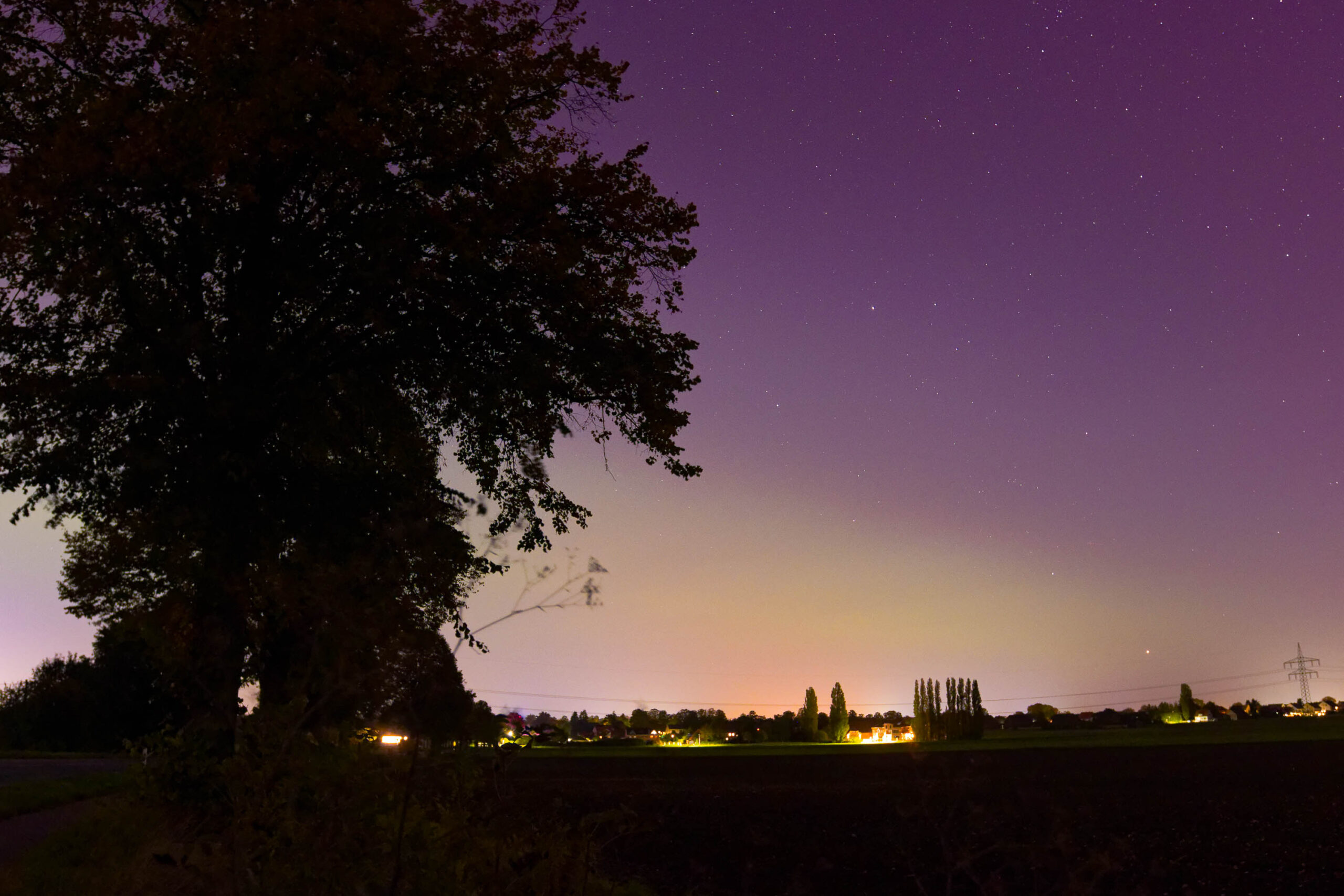 Das Foto zeigt eine Landschaft in der Region Hannover, aufgenommen im Oktober 2024, während Polarlichter sichtbar sind. Der Himmel ist von einem violetten Farbton dominiert, der durch die Polarlichter erzeugt wird. Im Vordergrund erstreckt sich ein dunkles Feld, das von einem Baum im Vordergrund verdeckt wird. Im Hintergrund sind einige Häuser und weitere Bäume zu erkennen. Die Szene ist von einer ruhigen und fast mystischen Stimmung geprägt, die durch die ungewöhnliche Erscheinung der Polarlichter verstärkt wird.