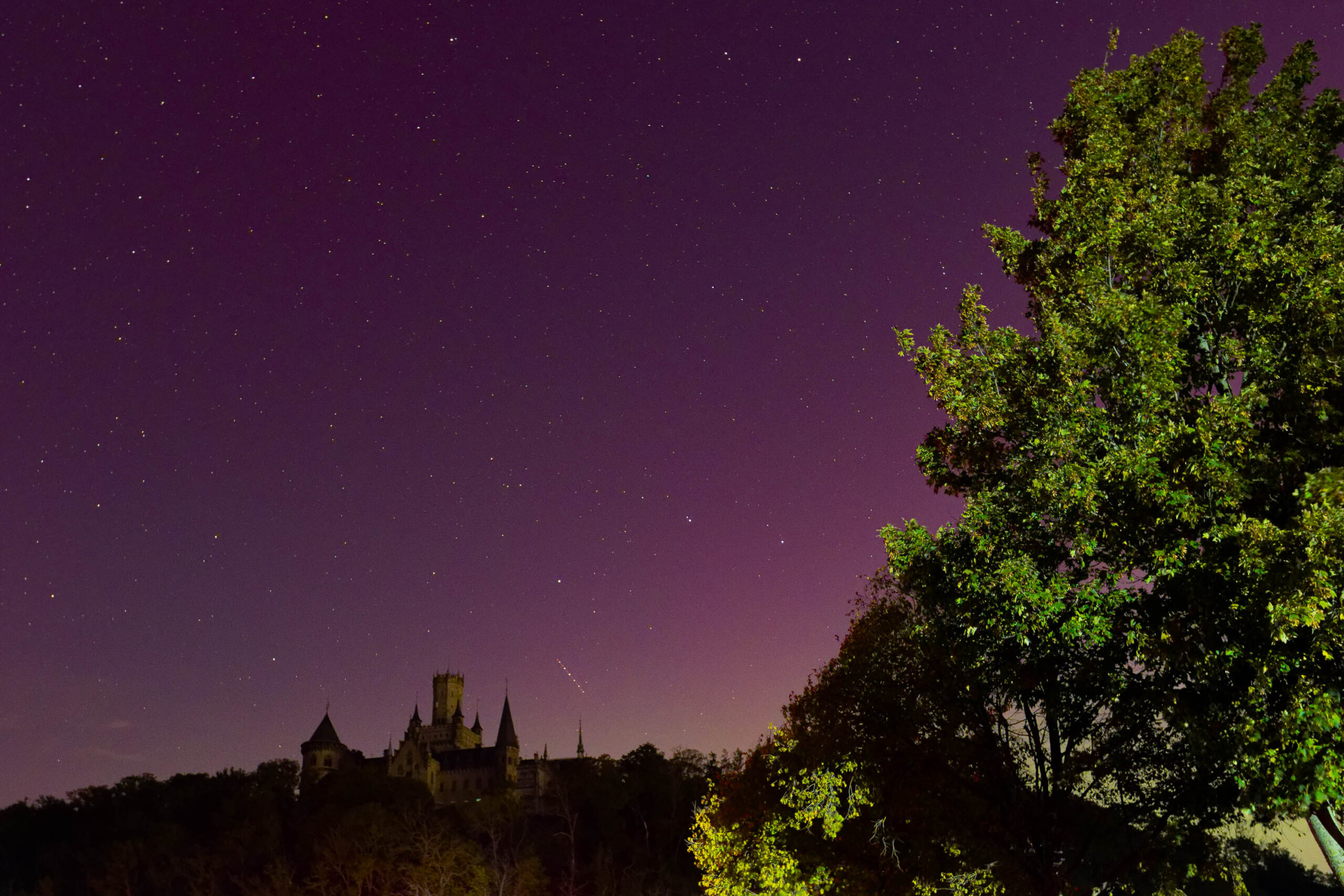 Die Aufnahme zeigt ein Schloss, das auf einem Hügel thront, vor einem spektakulären Nachthimmel. Das Schloss ist im Dunkeln silhouettiert, wodurch seine architektonischen Details nur schemenhaft erkennbar sind. Der Himmel ist von einem intensiven Violett- und Grünton erhellt, was auf ein Polarlicht hindeutet. Im Vordergrund befindet sich ein Baum, dessen Blätter im schwachen Licht grünlich schimmern. Die Sterne sind deutlich sichtbar und tragen zur mystischen Atmosphäre der Aufnahme bei. Die Aufnahme wurde wahrscheinlich mit einer Langzeitbelichtung erstellt, um das Polarlicht und die Sterne optimal zu erfassen.