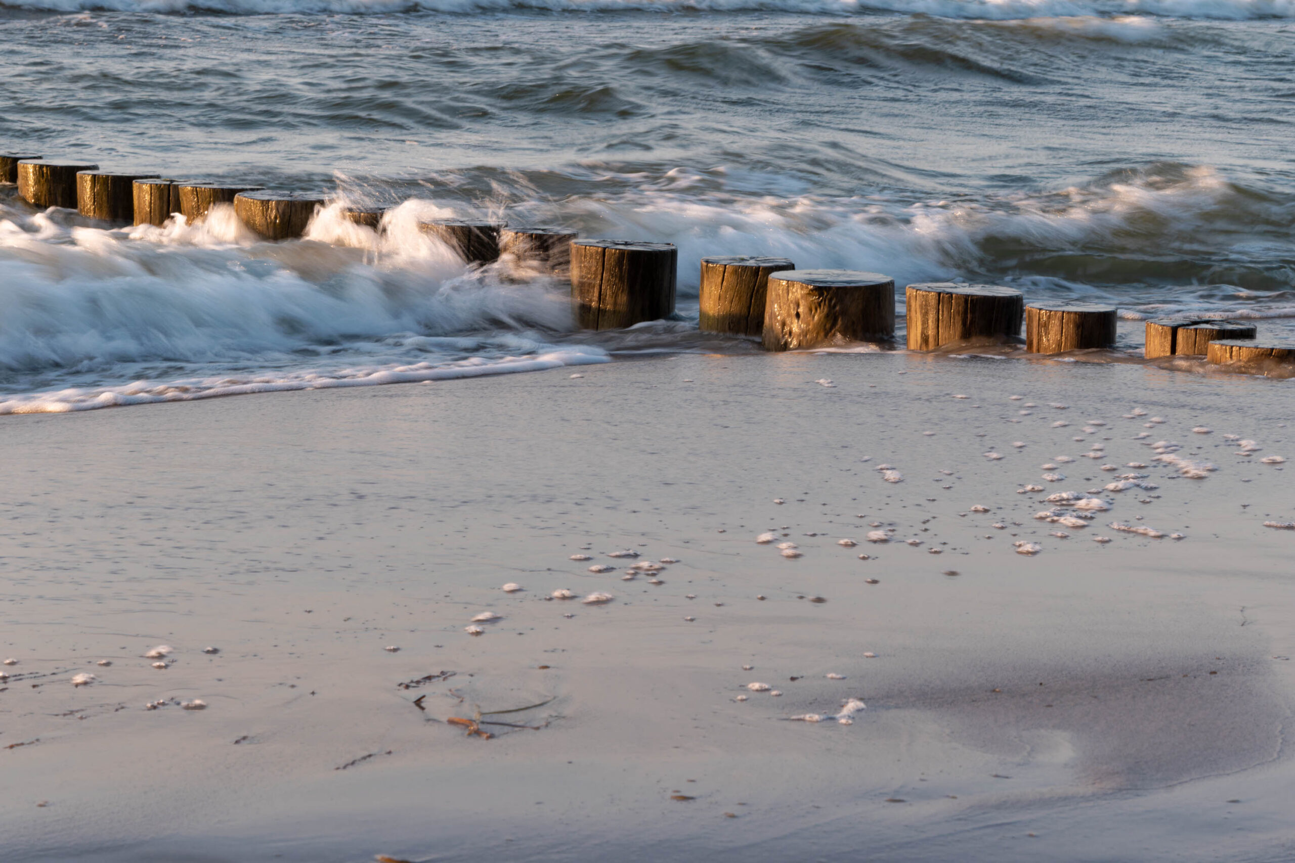 Das Bild zeigt eine Küstenlandschaft, wahrscheinlich an der Ostsee, mit einem Fokus auf eine Reihe von Holzpfählen, die aus dem Sand ragen. Die Pfähle sind unterschiedlich hoch und scheinen eine Art Wellenbrecher oder Küstenschutz zu sein. Das Wasser umspült die Pfähle und erzeugt eine dynamische Szene mit brechenden Wellen. Der Sand ist hell und feucht, mit vereinzelten Muscheln und Treibgut. Der Himmel ist bewölkt, was für ein weiches, diffuses Licht sorgt. Die Szene vermittelt ein Gefühl von Ruhe und Natürlichkeit.