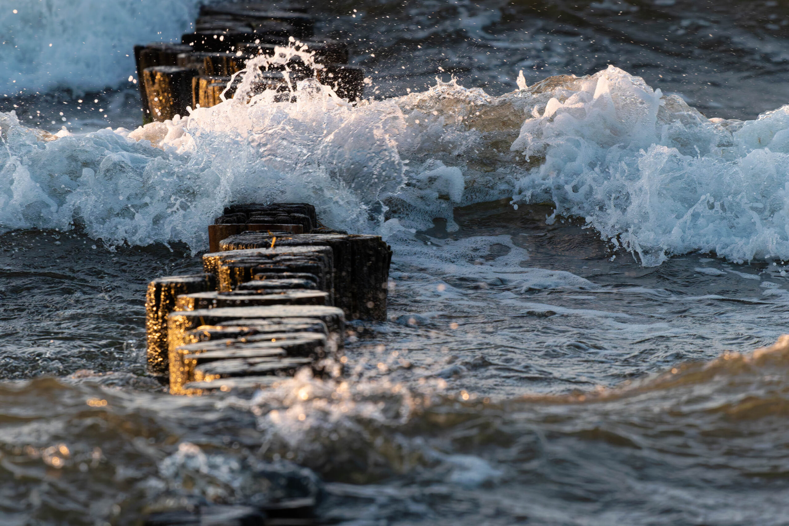 Das Bild zeigt eine dynamische Aufnahme von Wellen, die gegen eine Reihe von vertikalen Holzpfählen schlagen, die aus dem Wasser ragen. Die Pfähle scheinen Teil einer Schutzstruktur oder eines Piers zu sein. Das Wasser ist dunkel und turbulent, mit weißen Schaumkronen, die durch die Wucht der Wellen entstehen. Das Licht scheint von der Seite zu kommen, was die Textur des Holzes und die Bewegung des Wassers hervorhebt. Die Aufnahme ist sehr detailliert und fängt die Kraft und Schönheit der Natur ein. Der Kontext, dass das Bild im Sommer 2025 in Zingst aufgenommen wurde, deutet auf eine Küstenlandschaft hin.