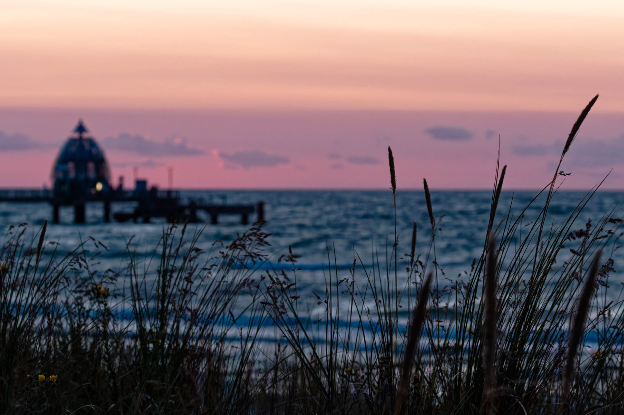 Das Foto zeigt einen Pier in Zingst, aufgenommen im Sommer 2025. Der Pier ist im Hintergrund zu sehen, wobei der Blick durch hohes Gras im Vordergrund teilweise verdeckt wird. Der Himmel ist in zarten Rosa- und Lilatönen gehalten, was eine ruhige und friedliche Atmosphäre schafft. Die Aufnahme fängt die Schönheit der Küste bei Sonnenaufgang ein.