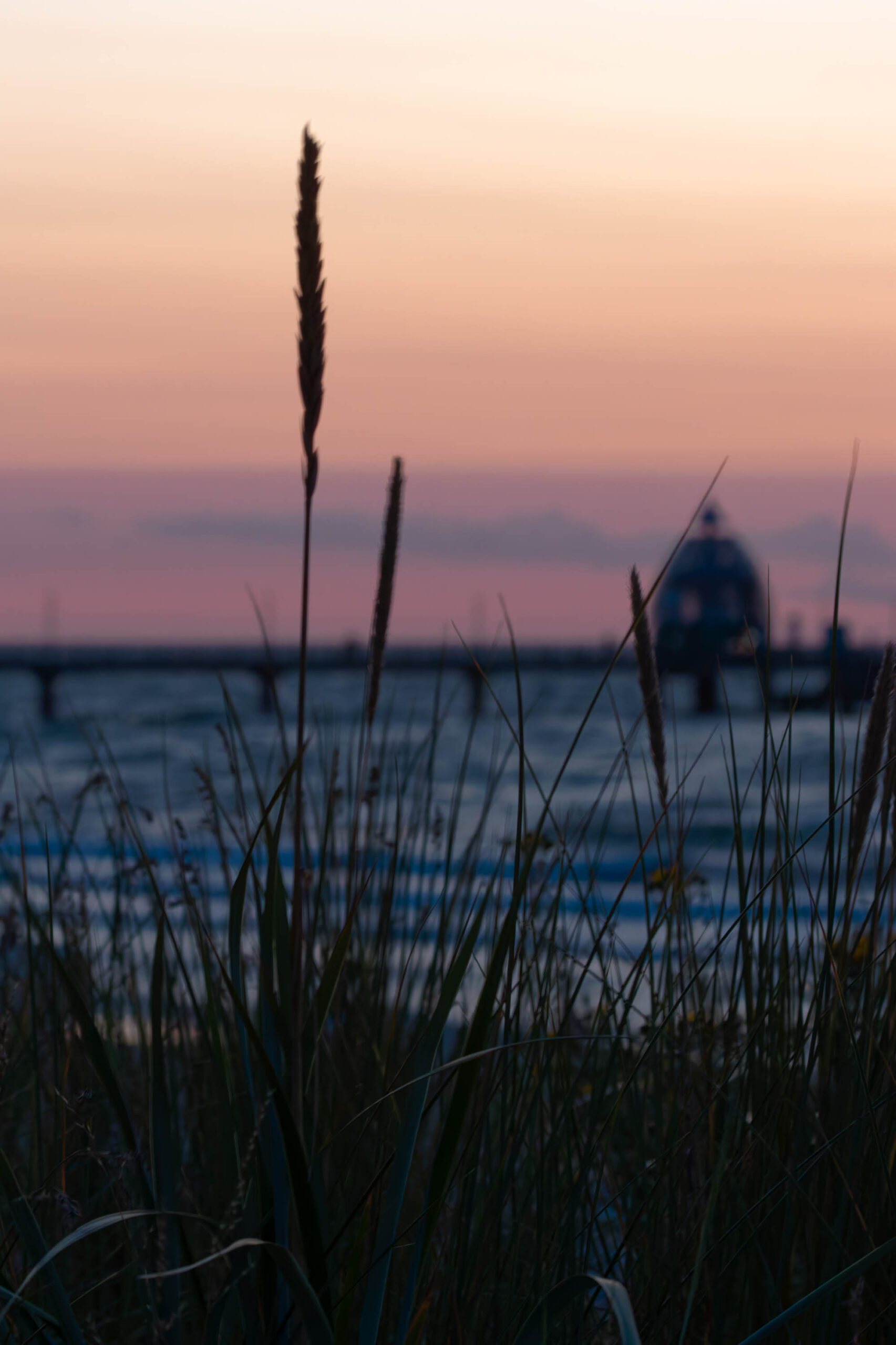 Die Aufnahme zeigt eine Szene am Strand von Zingst, aufgenommen im Sommer 2025. Im Vordergrund dominieren Halme von Seegras, die im Gegenlicht silhouettiert sind. Im Hintergrund ist ein Gebäude erkennbar, das vermutlich ein Wahrzeichen der Region ist. Der Himmel ist in sanften Rosa- und Violetttönen gehalten, was auf einen Sonnenuntergang hindeutet. Die Aufnahme ist insgesamt weich und verträumt, mit einem Fokus auf die Atmosphäre des Ortes.