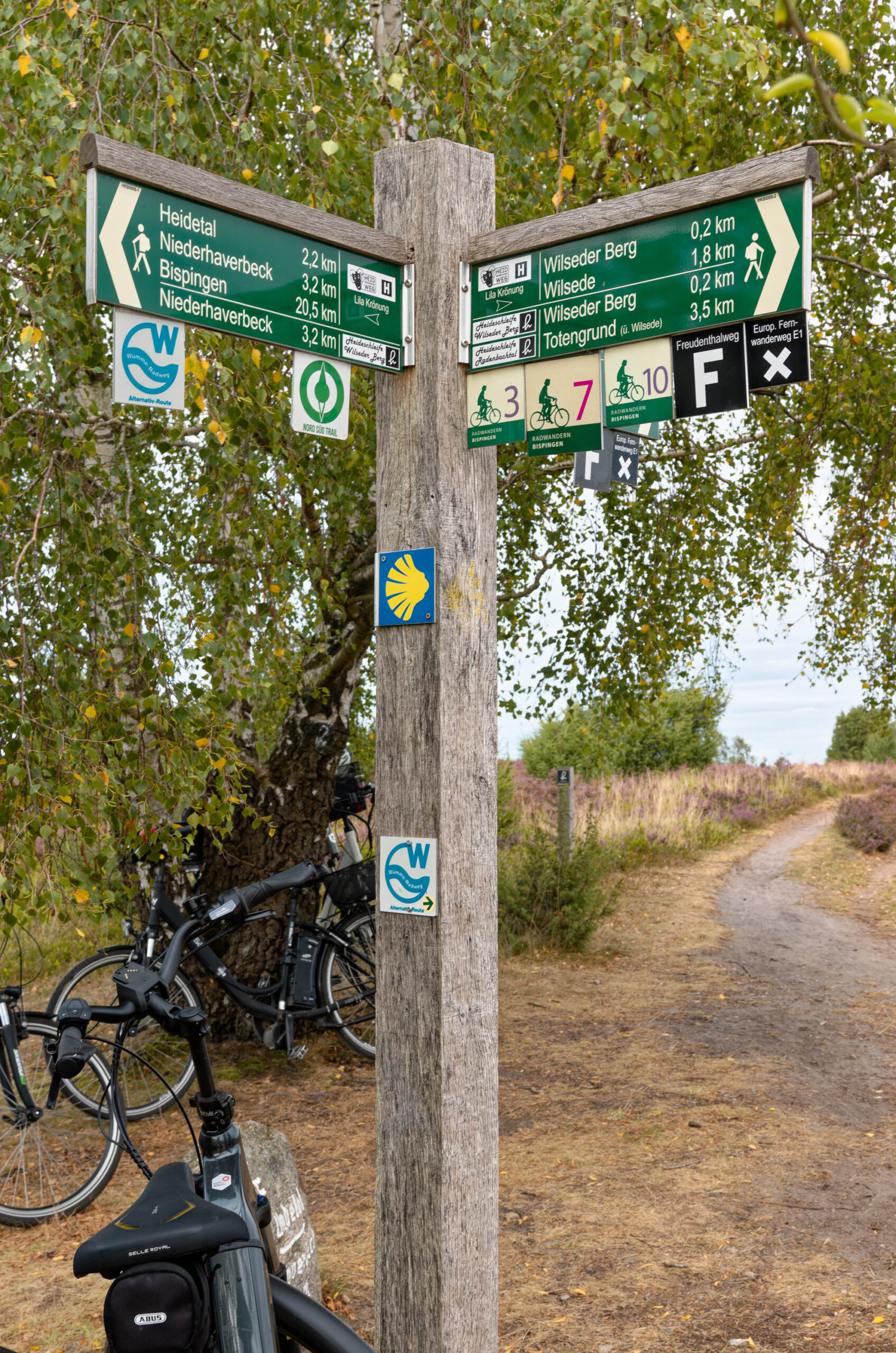Die Aufnahme zeigt einen Wegweiser in der Lüneburger Heide, der verschiedene Wander- und Radwege anzeigt. Mehrere Fahrräder stehen im Vordergrund, an einen Baum gelehnt. Die Umgebung ist von üppiger Vegetation geprägt, was auf eine typische Heide-Landschaft hindeutet. Die Farben sind lebendig, was die Schönheit der Landschaft unterstreicht.