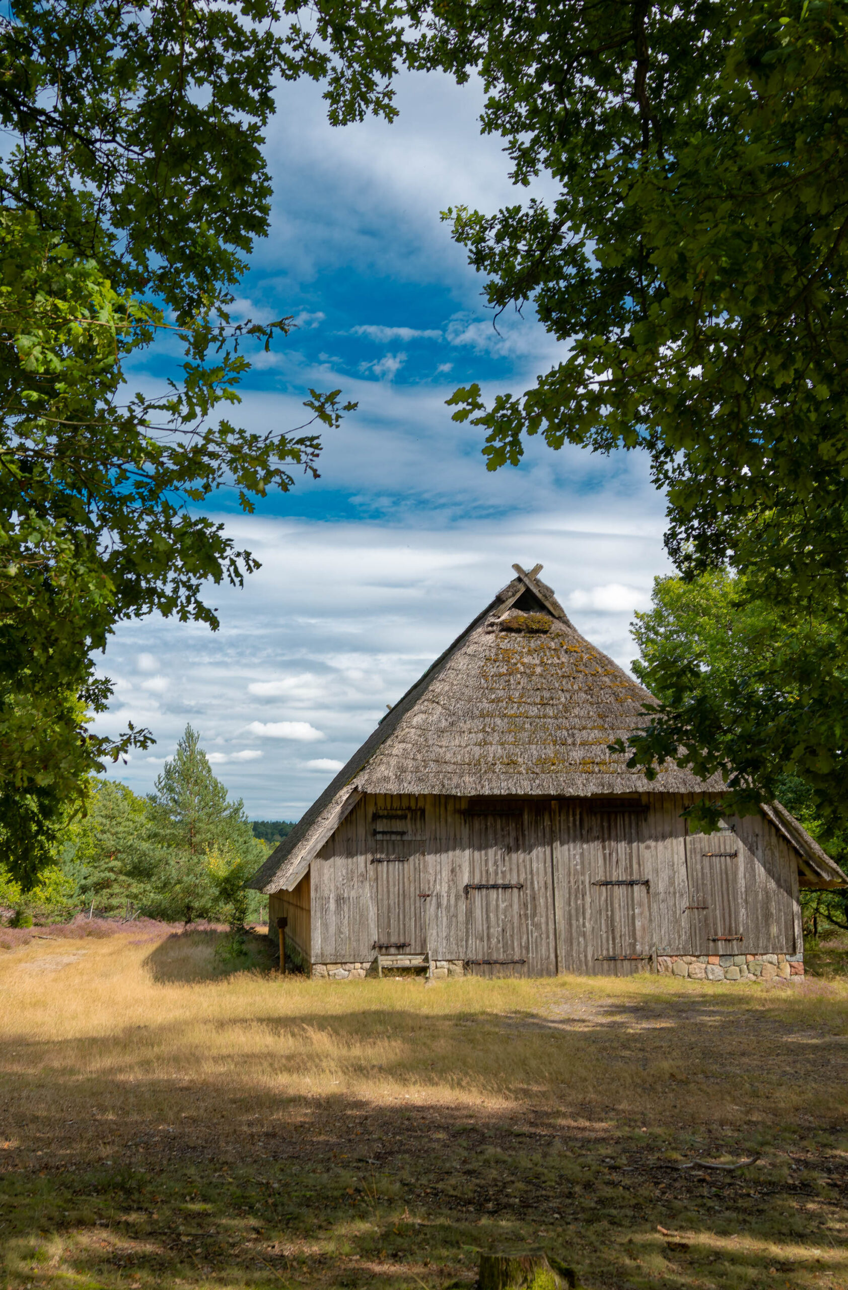 Das Foto zeigt ein traditionelles Fachwerkhaus mit einem steilen Strohdach, eingebettet in die Lüneburger Heide. Die Umgebung ist von Heidekraut und vereinzelten Bäumen geprägt. Der Himmel ist bewölkt, aber die Sonne scheint durch die Wolken und beleuchtet die Szene.