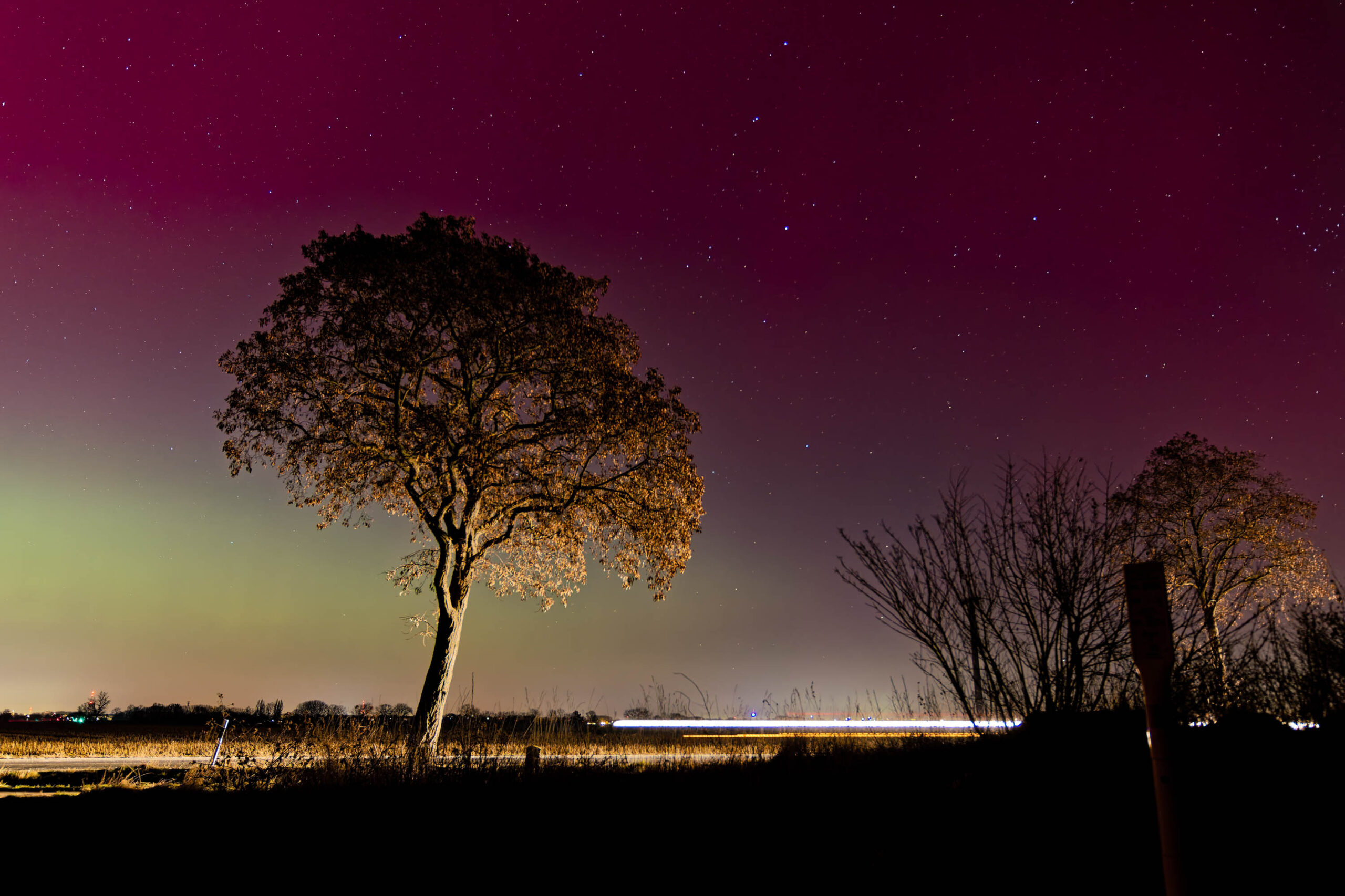 Ein atemberaubender Blick auf das Nordlicht, das über einem stillen See tanzt. Die silbrigen Streifen färben den Nachthimmel