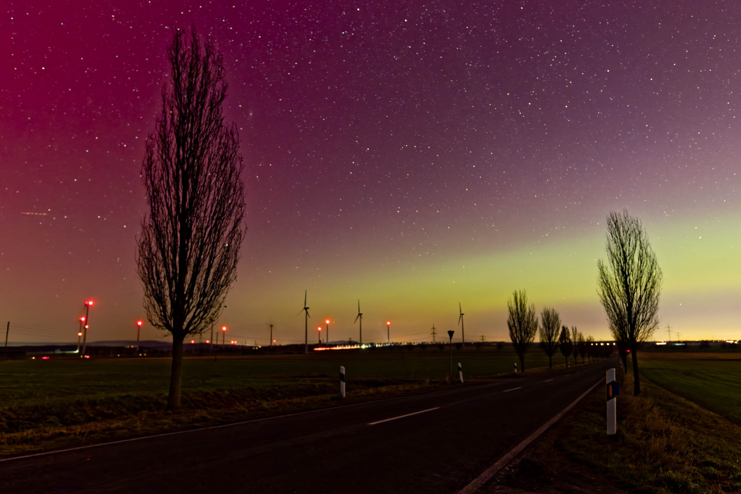 Ein atemberaubendes Polarlicht erhellt die nächtliche Landschaft. Ein Feldweg führt in die Ferne, begleitet von einer Reihe von Bäumen und Windkraftanlagen. Der Himmel ist in ein leuchtendes Violett und Grün getaucht, durchzogen von Sternen.