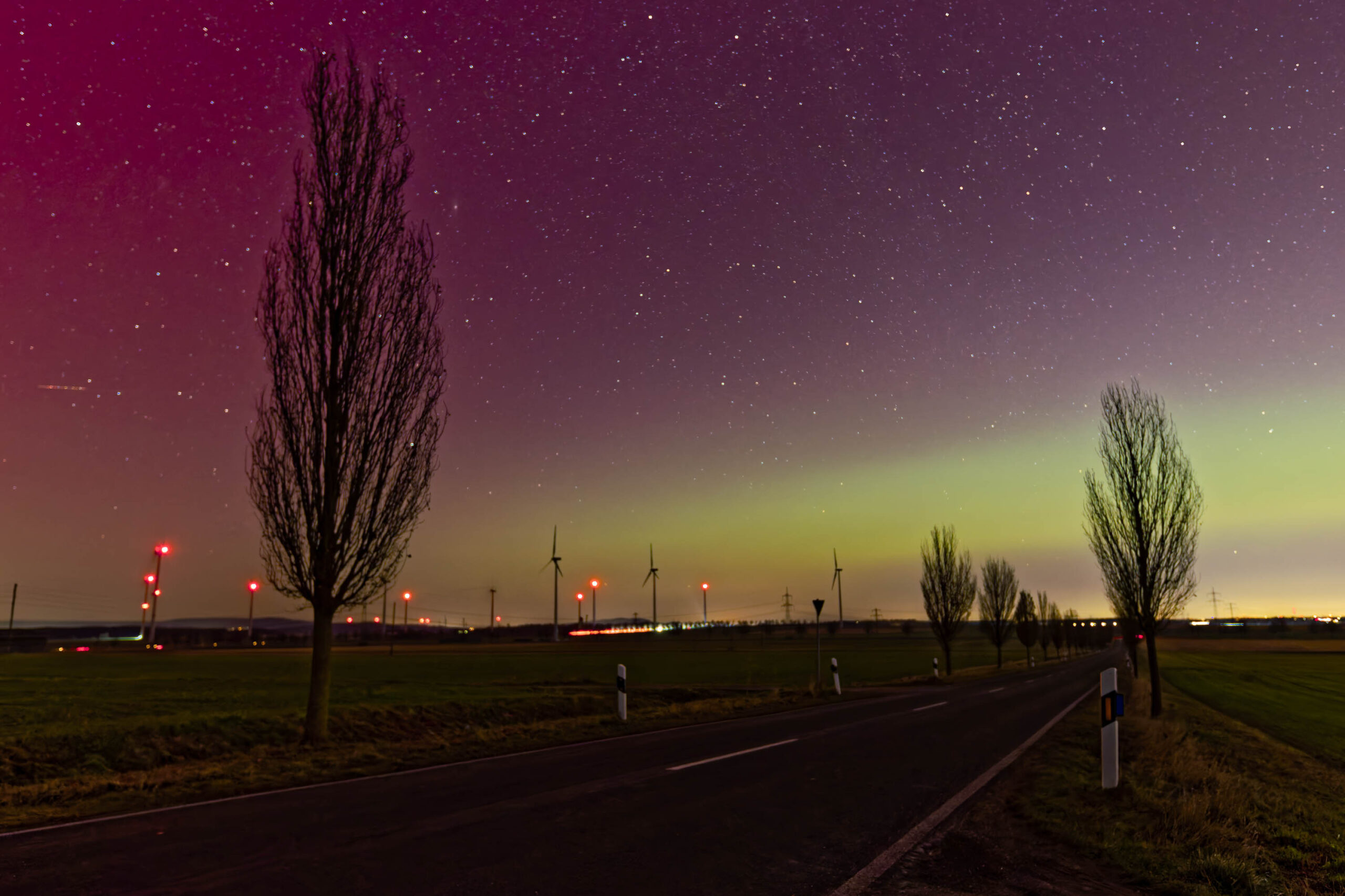 Ein atemberaubendes Polarlicht erhellt die nächtliche Landschaft. Ein Feldweg führt in die Ferne, begleitet von einer Reihe von Bäumen und Windkraftanlagen. Der Himmel ist in ein leuchtendes Violett und Grün getaucht, durchzogen von Sternen.